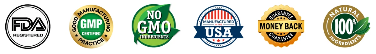 MemoryFuel Certification