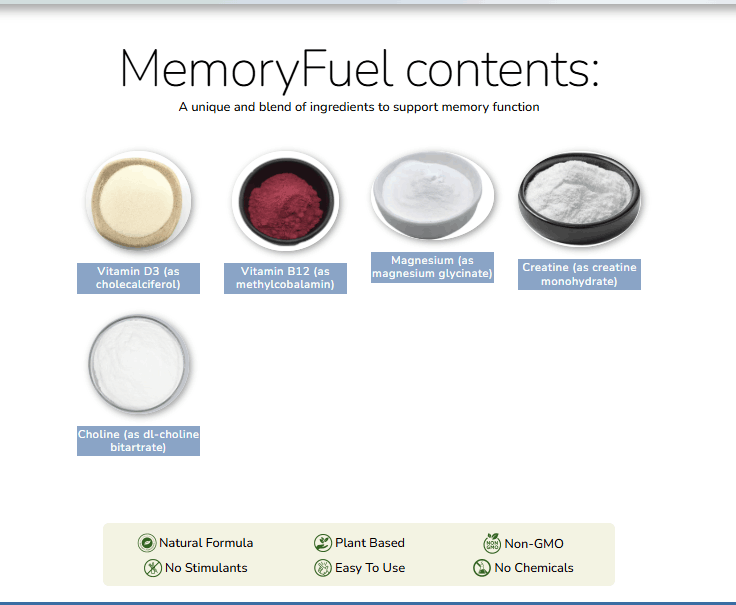 MemoryFuel Ingredients 